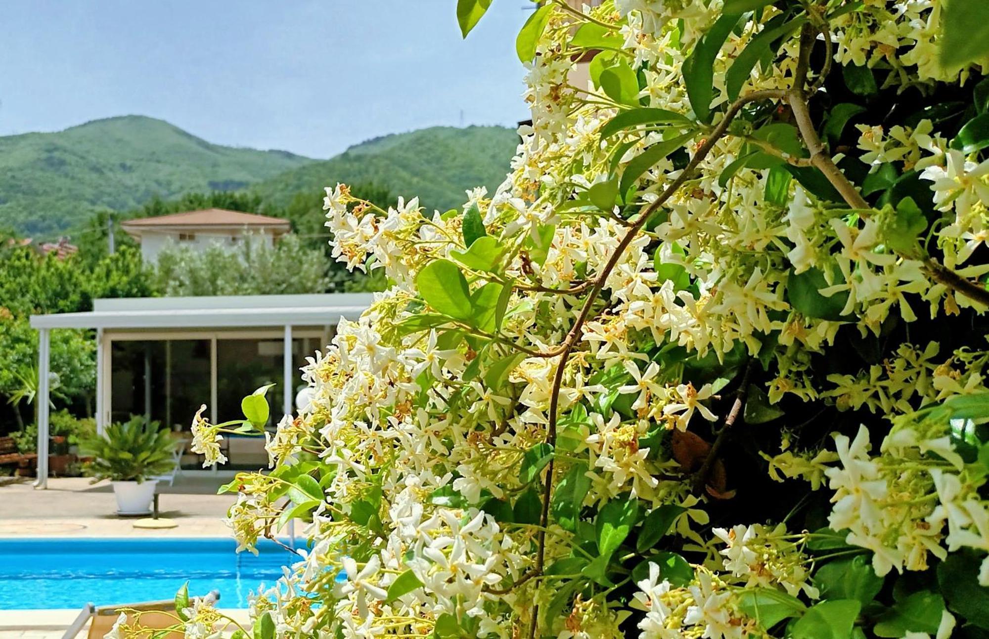 La Residenza Del Marchesato Bed & Breakfast Marano Marchesato Luaran gambar